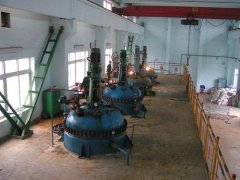 河北石家莊某電廠高純水項目預處理纖維球濾料